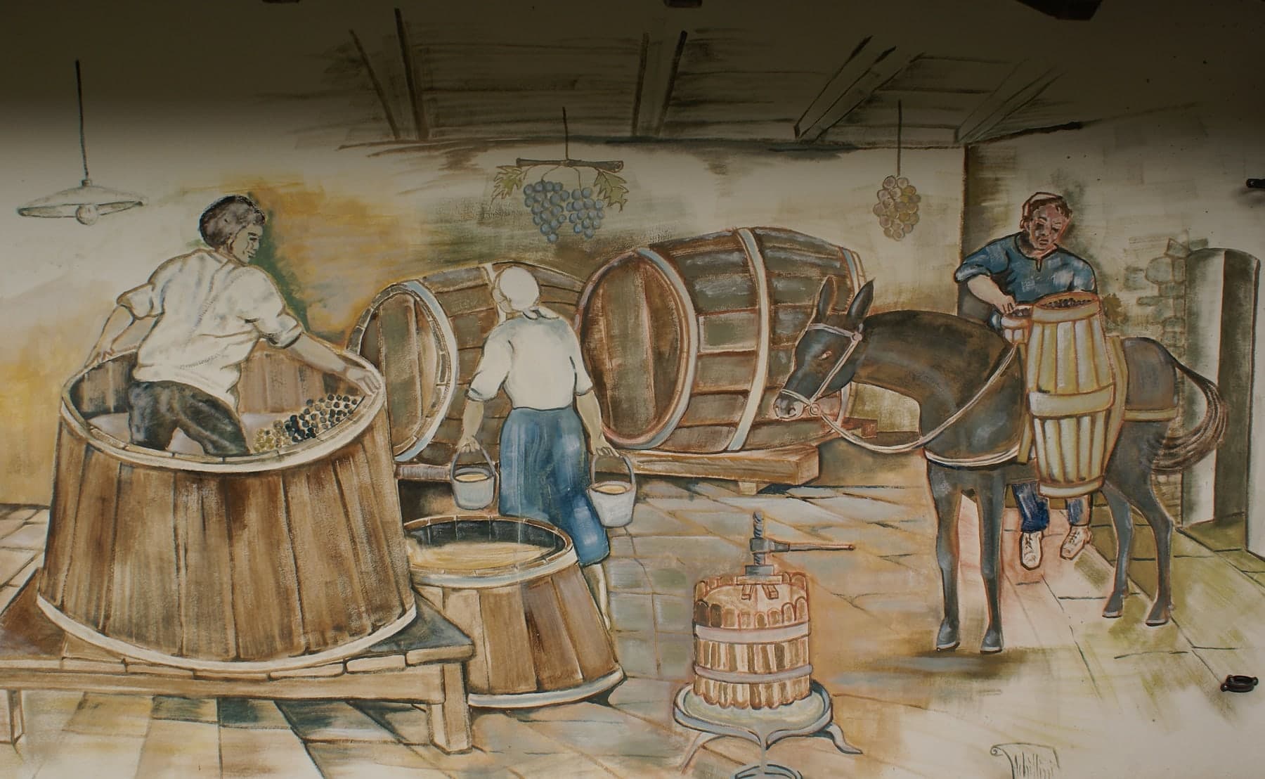 La vendemmia in cantina: l’uva pigiata nel tino, una donna con i secchi, le botti e un uomo che carica un barile sull’asino. A Francavilla sul Sinni.